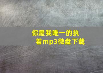 你是我唯一的执着mp3微盘下载