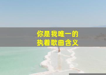 你是我唯一的执着歌曲含义