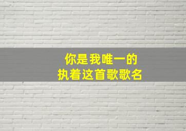 你是我唯一的执着这首歌歌名