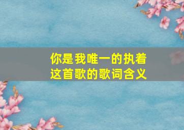 你是我唯一的执着这首歌的歌词含义