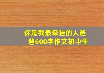 你是我最牵挂的人爸爸600字作文初中生