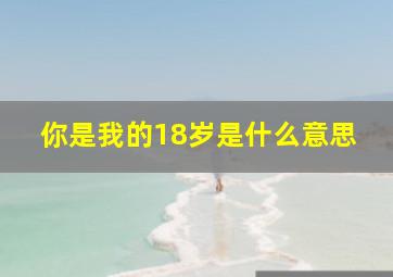 你是我的18岁是什么意思