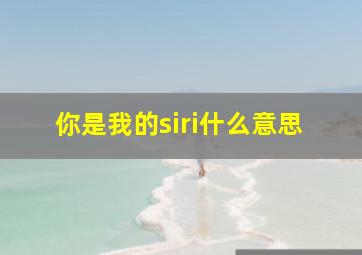 你是我的siri什么意思