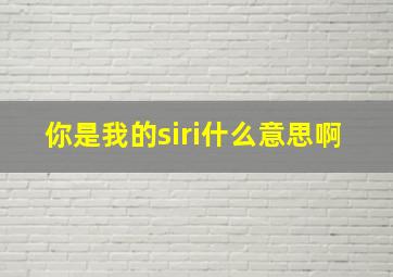 你是我的siri什么意思啊