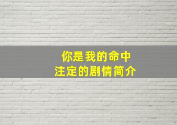 你是我的命中注定的剧情简介