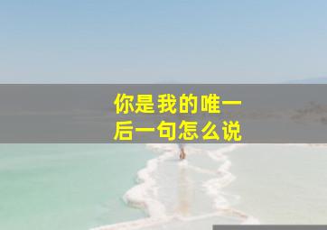 你是我的唯一后一句怎么说