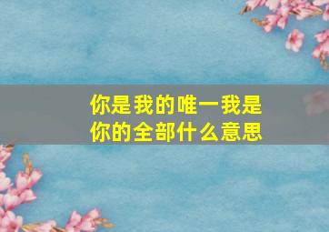 你是我的唯一我是你的全部什么意思