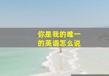 你是我的唯一的英语怎么说