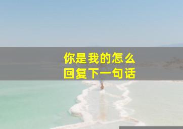 你是我的怎么回复下一句话