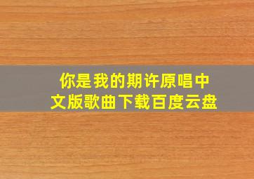 你是我的期许原唱中文版歌曲下载百度云盘