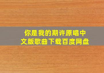 你是我的期许原唱中文版歌曲下载百度网盘