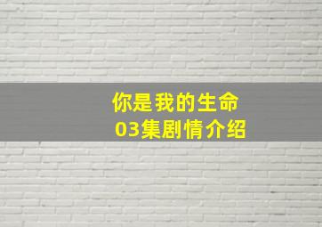 你是我的生命03集剧情介绍