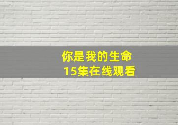 你是我的生命15集在线观看