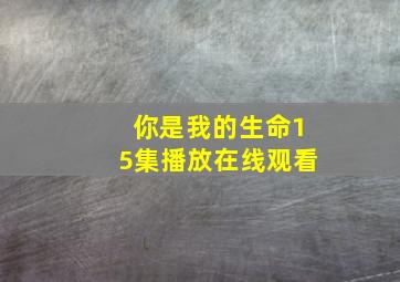 你是我的生命15集播放在线观看