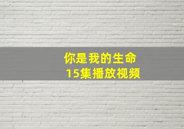 你是我的生命15集播放视频