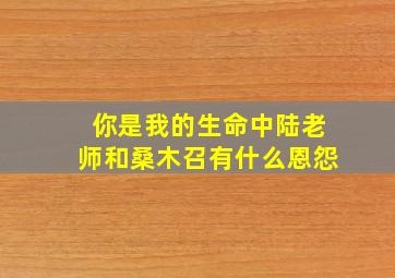 你是我的生命中陆老师和桑木召有什么恩怨