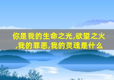 你是我的生命之光,欲望之火,我的罪恶,我的灵魂是什么