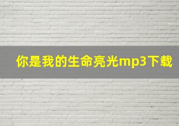 你是我的生命亮光mp3下载