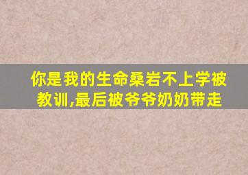 你是我的生命桑岩不上学被教训,最后被爷爷奶奶带走