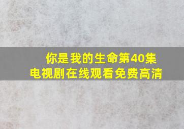 你是我的生命第40集电视剧在线观看免费高清