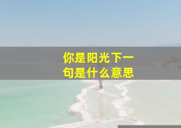 你是阳光下一句是什么意思