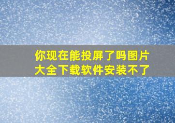 你现在能投屏了吗图片大全下载软件安装不了