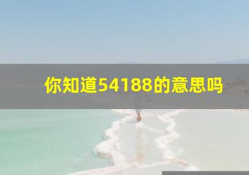 你知道54188的意思吗