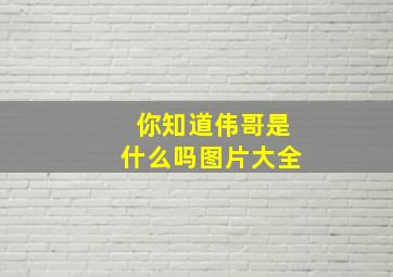 你知道伟哥是什么吗图片大全