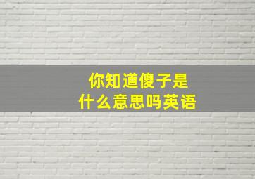 你知道傻子是什么意思吗英语