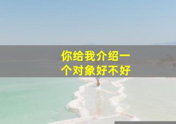 你给我介绍一个对象好不好