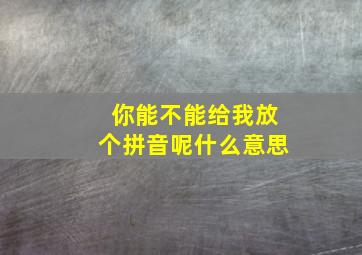 你能不能给我放个拼音呢什么意思