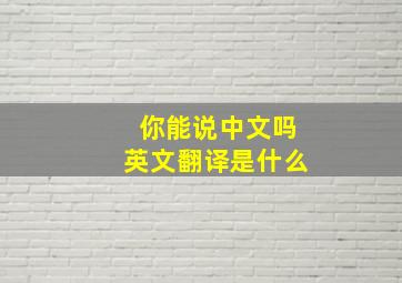 你能说中文吗英文翻译是什么