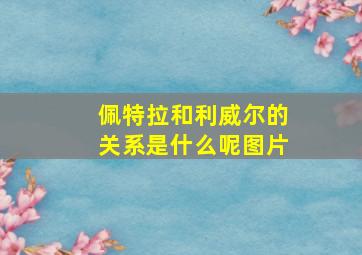 佩特拉和利威尔的关系是什么呢图片