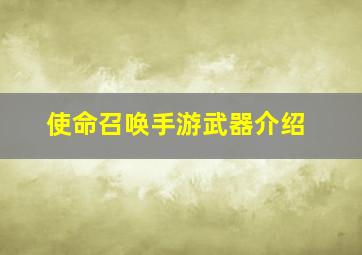 使命召唤手游武器介绍