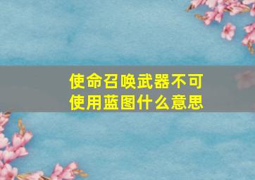 使命召唤武器不可使用蓝图什么意思