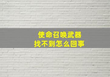 使命召唤武器找不到怎么回事