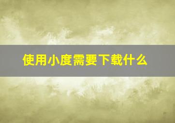 使用小度需要下载什么