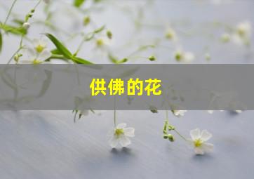 供佛的花