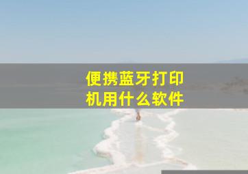 便携蓝牙打印机用什么软件