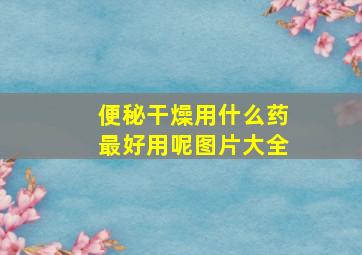 便秘干燥用什么药最好用呢图片大全