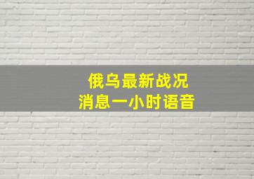 俄乌最新战况消息一小时语音