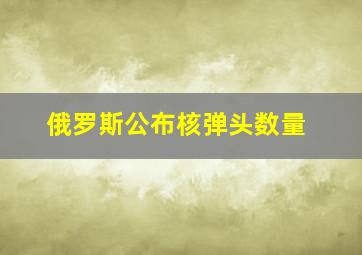 俄罗斯公布核弹头数量