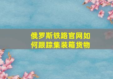 俄罗斯铁路官网如何跟踪集装箱货物