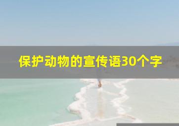 保护动物的宣传语30个字