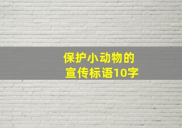 保护小动物的宣传标语10字