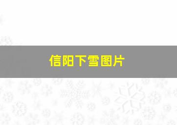 信阳下雪图片