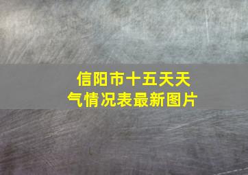 信阳市十五天天气情况表最新图片