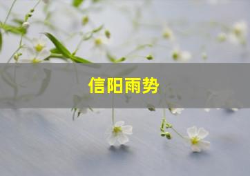 信阳雨势