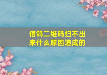 信鸽二维码扫不出来什么原因造成的