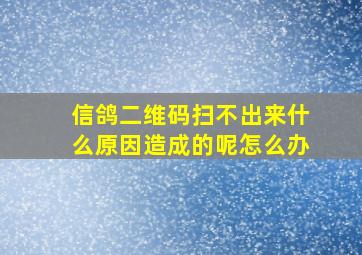 信鸽二维码扫不出来什么原因造成的呢怎么办